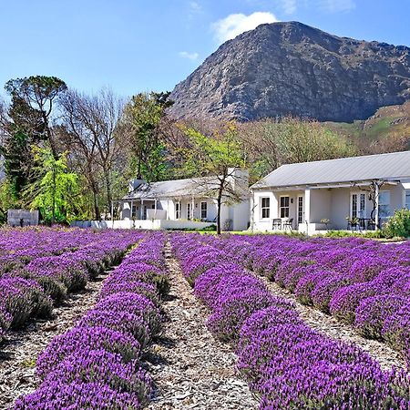 Lavender Farm Boutique Guest House Франсхук Экстерьер фото