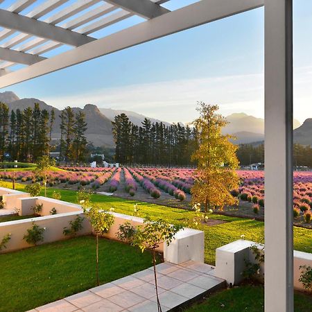 Lavender Farm Boutique Guest House Франсхук Экстерьер фото