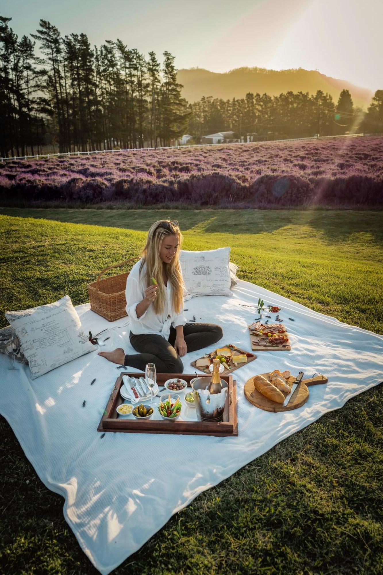 Lavender Farm Boutique Guest House Франсхук Экстерьер фото