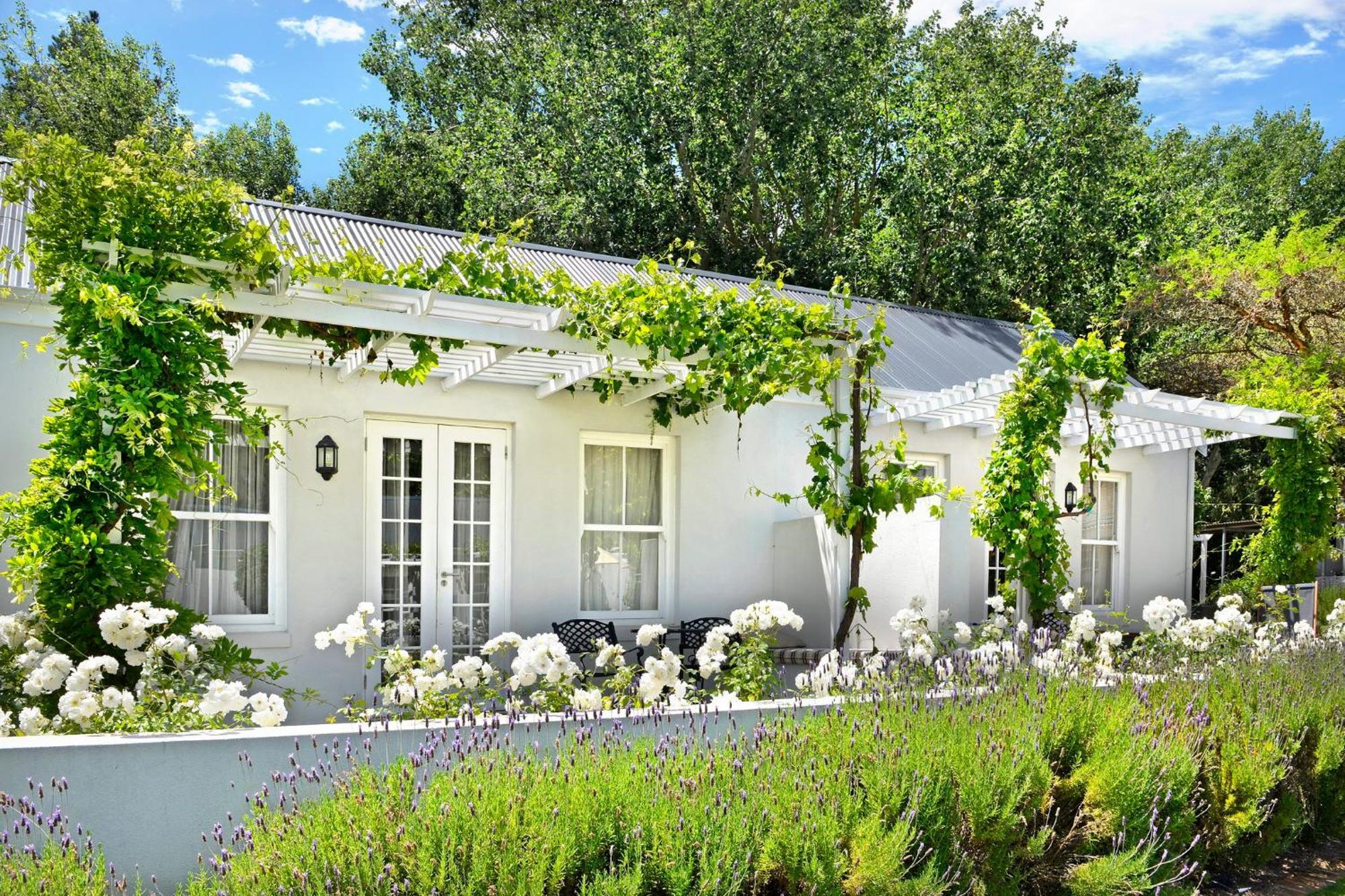 Lavender Farm Boutique Guest House Франсхук Экстерьер фото