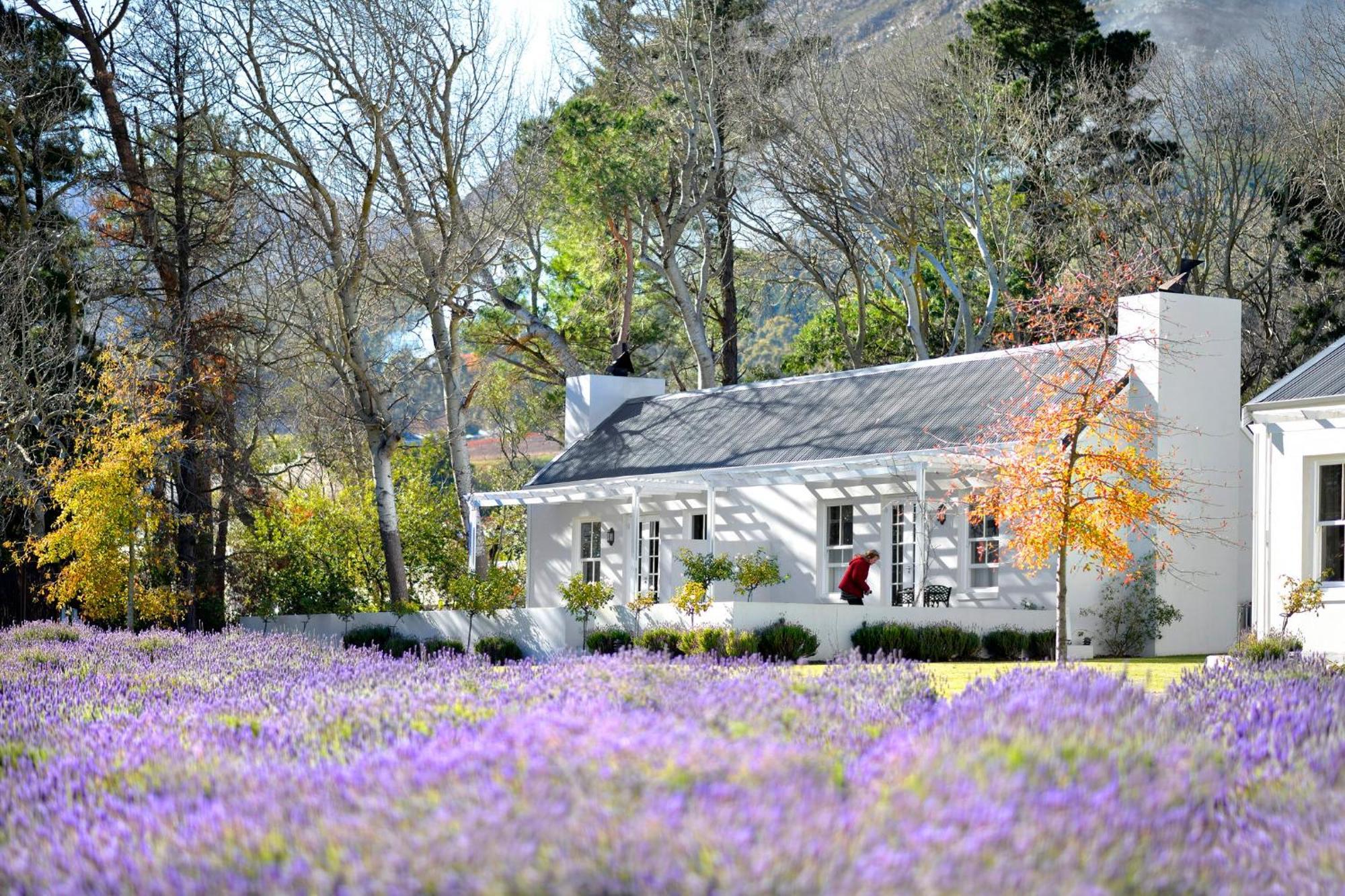 Lavender Farm Boutique Guest House Франсхук Экстерьер фото